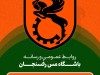 بیانیه رسمی باشگاه فرهنگی ورزشی صنعت مس رفسنجان