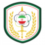 نیروی زمینی